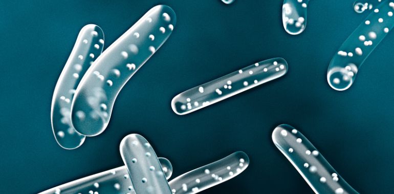 Les probiotiques sont-ils efficaces pour soigner le SIBO ? 